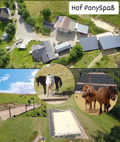 Unsere Schulponys
